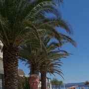  ,   Vladimir, 38 ,   ,   , c , 