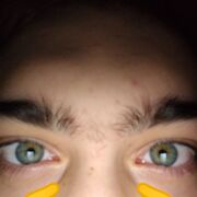 ���������� �����������, ���� ����� ����, 19 ���, ������������ ��� c�������� ���������, ���������