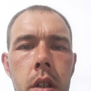  ,  Pups, 31