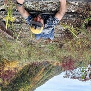 ���������� �����������, ���� ������� ����, 40 ���, ������������ ��� ������, ����� � ���������, c�������� ���������, ���������