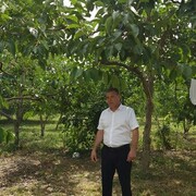  -,   , 51 ,   ,   , c 