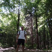 ���������� ��������, ���� ������� �������, 46 ���, ������������ ��� ������