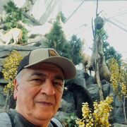  ,  Cruise, 60