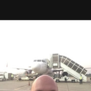  -,   , 41 ,   