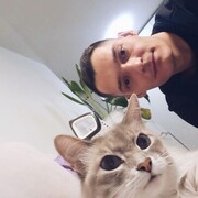  ,   , 38 ,   ,   