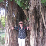 ���������� �����������, ���� ������� ������, 65 ���, ������������ ��� ������, ����� � ���������, c�������� ���������