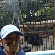 ���������� �����������, ���� ������� ����, 33 ����, ������������ ��� ������, ����� � ���������