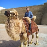 ���������� ���������, ���� ������� ������, 43 ����, ������������ ��� ������, ����� � ���������, c�������� ���������, ���������