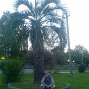 ���������� �����, ���� ������� ����, 38 ���, ������������ ��� ������, ����� � ���������, c�������� ���������