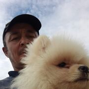  ,   Ҩ, 48 ,   ,   , c , 