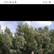  ,   , 71 ,  