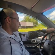 ���������� ��������, ���� ������� ���������, 38 ���, ������������ 