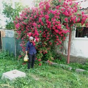  ,   , 36 ,   ,   