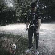 ���������� ���������, ���� ����� ���������, 22 ����, ������������ ��� ������, ����� � ���������