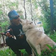 ���������� ������, ���� ������� ������, 43 ����, ������������ ��� ������, ����� � ���������