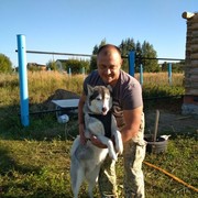 ���������� ������, ���� ������� �������, 50 ���, ������������ ��� ������, ����� � ���������, c�������� ���������