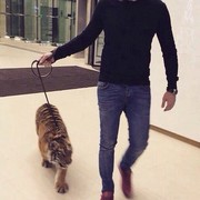  ,   , 33 ,   