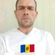  ,   Kostea, 49 ,   , c , 