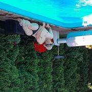 ���������� ������, ���� ������� ������, 45 ���, ������������ ��� ������, ����� � ���������