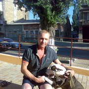  ,   , 55 ,  