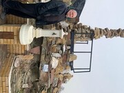 ���������� ���������, ���� ������� ����, 43 ����, ������������ ��� ������, ����� � ���������