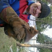 ���������� ������, ���� ������� ��������, 63 ����, ������������ ��� ������, ����� � ���������, c�������� ���������