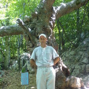  ,   , 51 ,     , c 