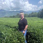 ���������� ���������, ���� ������� ������, 56 ���, ������������ ��� ������, ����� � ���������, c�������� ���������, ���������