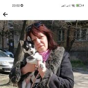  ,   , 56 ,   ,   