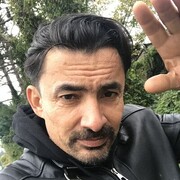 ,   , 41 ,   ,   