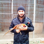  ,  amiran, 34