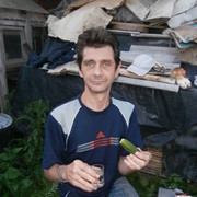  ,   , 57 ,     , c 