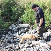 ���������� �������, ���� ������� Dima, 48 ���, ������������ ��� ������, ����� � ���������, c�������� ���������