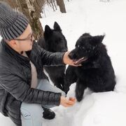 ���������� ������, ���� ����� �������, 23 ����, ������������ ��� ������, ����� � ���������, c�������� ���������