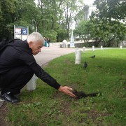 ���������� �����-���������, ���� ������� ��������, 67 ���, ������������ ��� ������, ����� � ���������, c�������� ���������