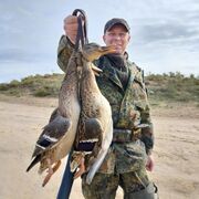 ���������� ������, ���� ������� ����, 37 ���, ������������ ��� ������, ����� � ���������, c�������� ���������