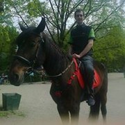  ,   , 38 ,   ,   , c 