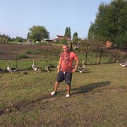  ,   , 43 ,   ,   
