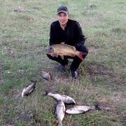  ,   , 37 ,   ,   , c 