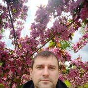 ���������� ������, ���� ������� �������, 43 ����, ������������ ��� ������, ����� � ���������, ���������