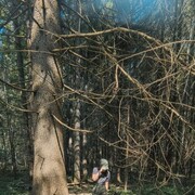 ���������� ������, ���� ������� ����, 27 ���, ������������ ��� ������, ����� � ���������, ���������