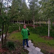 ���������� ������, ���� ������� ����, 40 ���, ������������ ��� ������, ����� � ���������