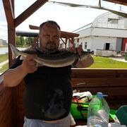 �� �������.