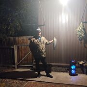  ,   , 41 ,   ,   , c , 