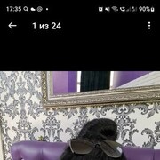 ���������� ���������, ������� �����, 52