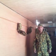 ���������� ������, ���� ������� ����, 29 ���, ������������ ��� ������, ����� � ���������