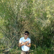 ���������� ������, ���� ������� Ardak, 36 ���, ������������ 