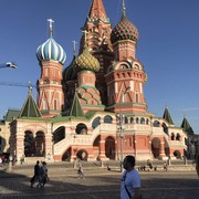 ���������� �������, ���� ������� Daler, 36 ���, ������������ ��� ������, ����� � ���������, c�������� ���������