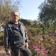  ,   , 55 ,     