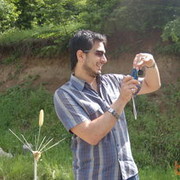  ,   DAVID, 37 ,     , c , 